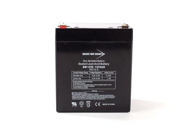 BW 1250 - F1 12V 5AH  Sealed Lead Acid Battery Tab=.187, 0124-6