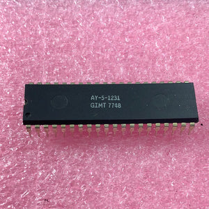 AY-5-1231 - GI - 24 hour programmable, repeatable on/off time 
switch with 4 digit clock